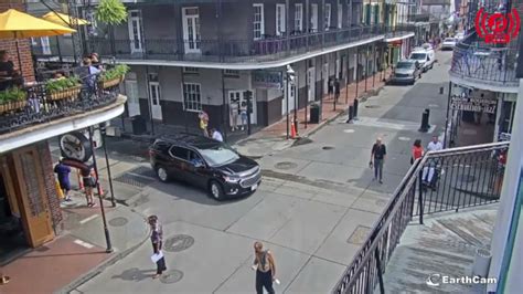 cats meow live webcam new orleans